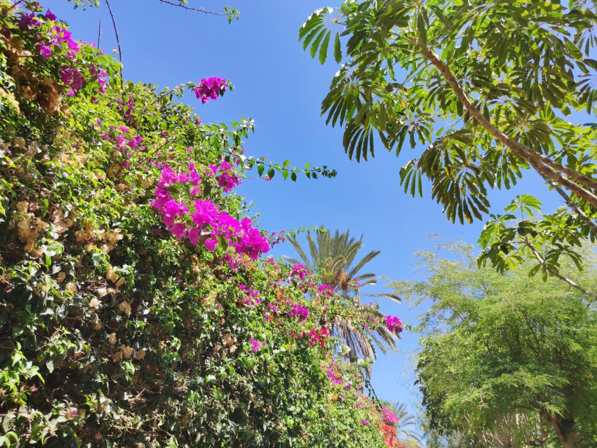 Villa Zinnia Playa Blanca  Esterno foto